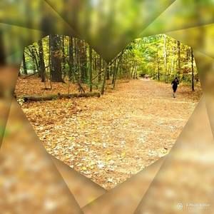 Meet your Posher, Sammie